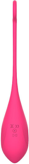 Passion Labs Vibrator Egg Negru