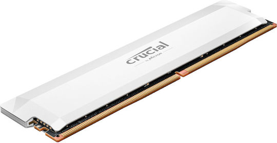 Crucial Pro DDR5 with Module 1x16GB and Speed 6000 for Desktop
