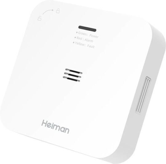 Smart Carbon Monoxide Alarm Ws-720es