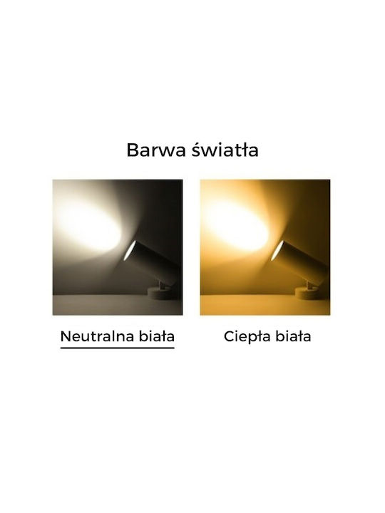 Greenie Einzel LED Natürliches Weiß Spot in Weiß Farbe