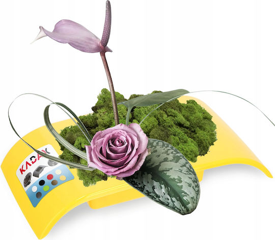 Husă Ghiveci de Flori Kadax Ikebana Compoziție