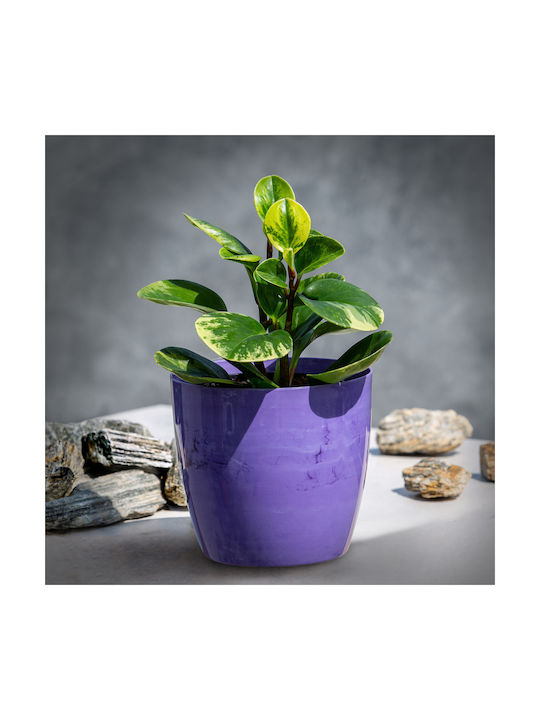 Kadax Pot Plastic 14x14cm.