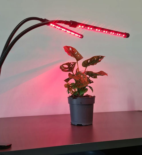Lampă cu 2 brațe pentru creșterea plantelor de interior Zola Fără Emisie de Căldură 20 LED-uri pe Braț 2 Culori 180 Grade