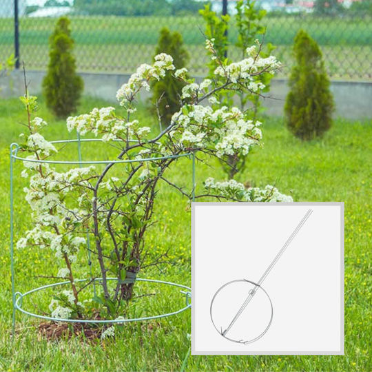 Kadax Plant Support Flowers Climbing Plants Roses 60cm