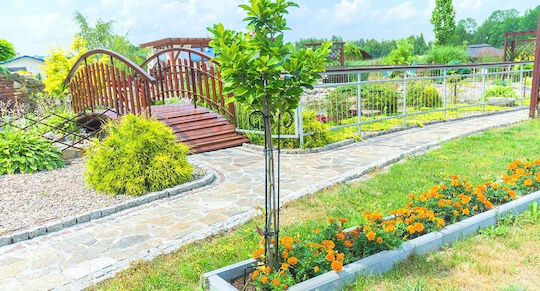 Kadax Plant Support Clamp Stand for Climbing Roses Steel 90cm