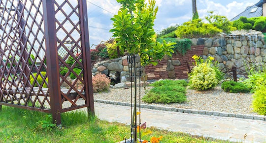 Kadax Plant Support Clamp Stand for Climbing Roses Steel 90cm