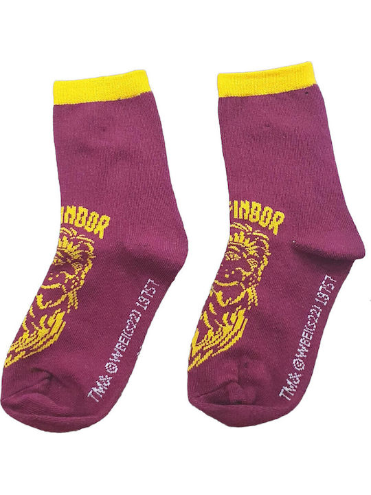 Harry Potter Παιδικές Κάλτσες