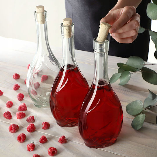 Kadax Set 6 Bucăți Vaze Utilizare Generală cu Plută Sticlă Transparentă 500ml 6 Bucăți