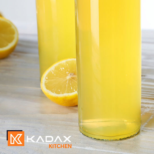 Kadax Set 2 Bucăți Vaze Utilizare Generală cu Plută Sticlă Transparentă 250ml 2 Bucăți