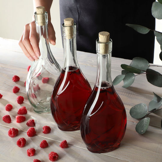 Kadax Set 6 Bucăți Vaze Utilizare Generală cu Plută Sticlă Transparentă 500ml 6 Bucăți