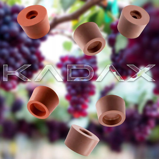Kadax Νταμιτζάνα 32851 54lt