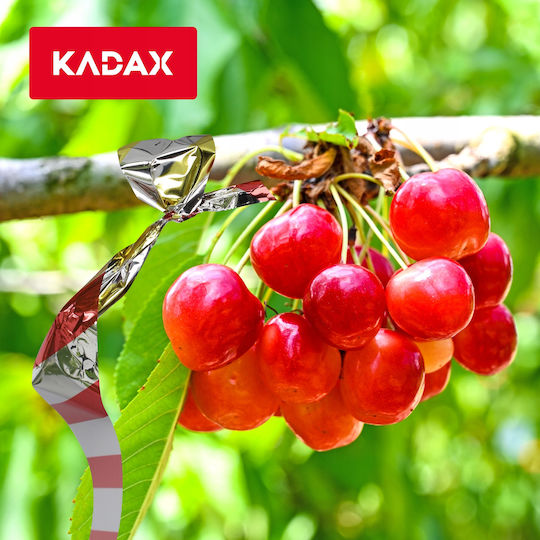 Kadax Отблъскваща лента Птици 50м