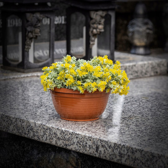 Kadax Vaza de Monument din Plastic
