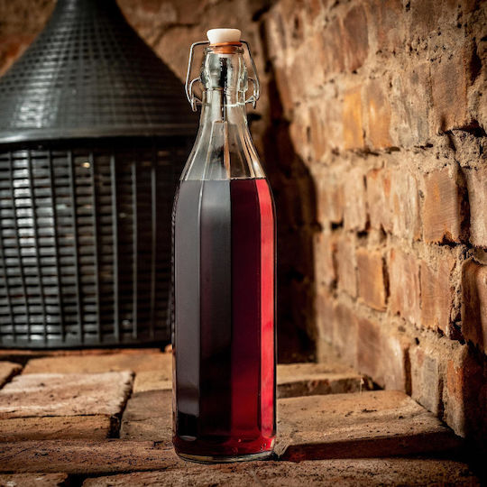 Kadax Flasche Wasser Glas mit Korken Transparent 1000ml 6 Stück