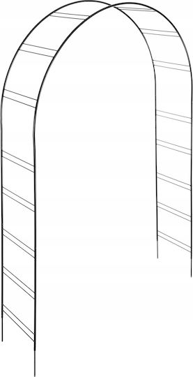 Arch Black