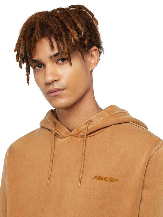 Sweatshirt with Hood Brown