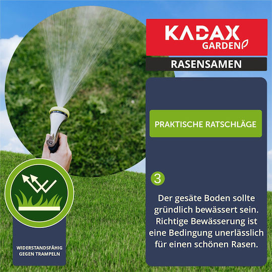 Kadax Σπόροι Πράσινο 3kg