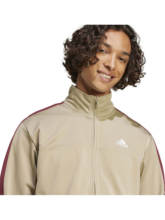 Trainingsanzug Glänzend mit Gummizug Beige