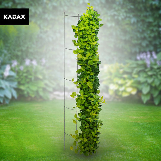 Kadax Pflanzenstützstab Pflanzenspieße 120cm