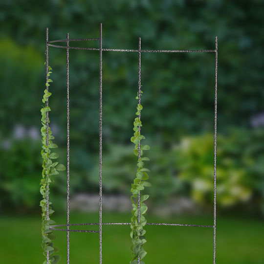 Kadax Pflanzenstützstab Pflanzenspieße 120cm