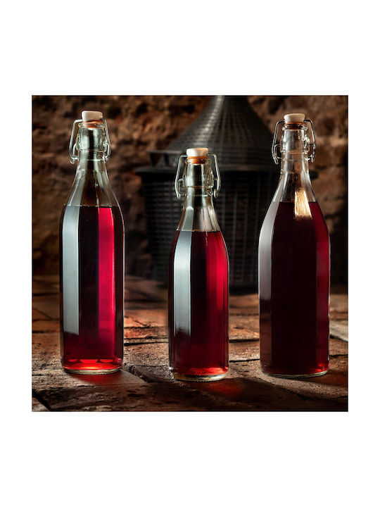 Kadax Flasche Wasser Glas mit Clip Transparent 750ml