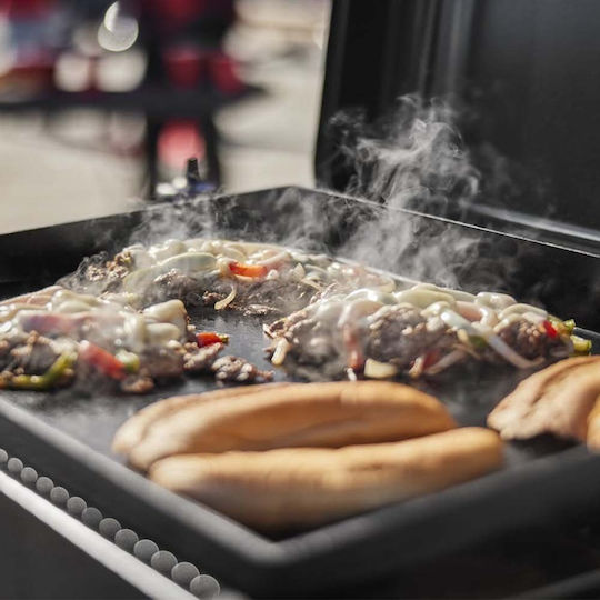 Weber Slate GP Premium Griddle Portable Gas Grill with 1 pcs 4.9kW
