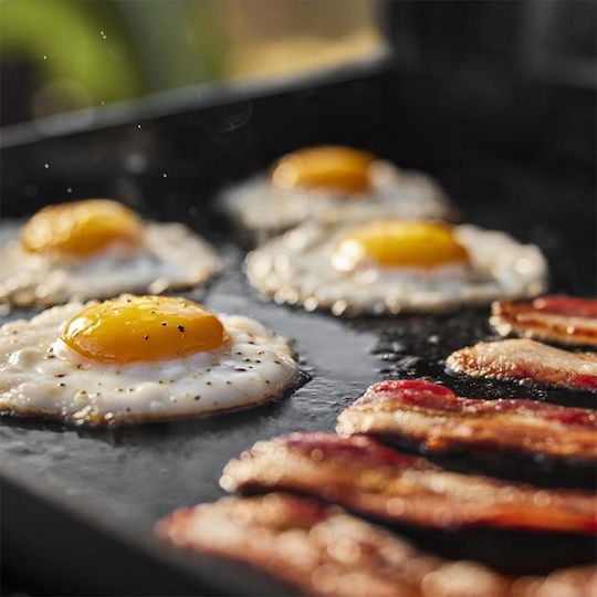 Weber Slate GP Premium Griddle Portable Gas Grill with 1 pcs 4.9kW