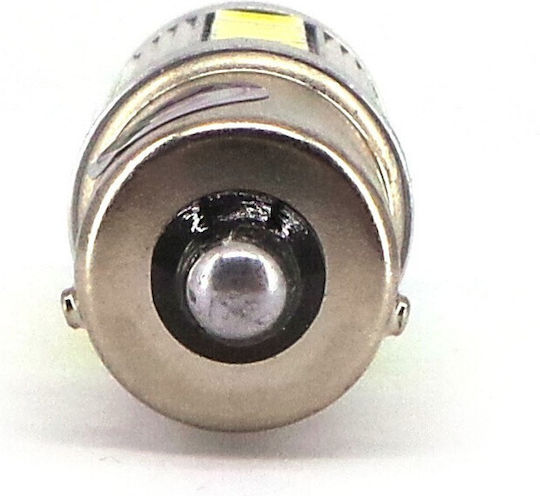 Led Bau15s Py21w 12-24v 17w Canbus