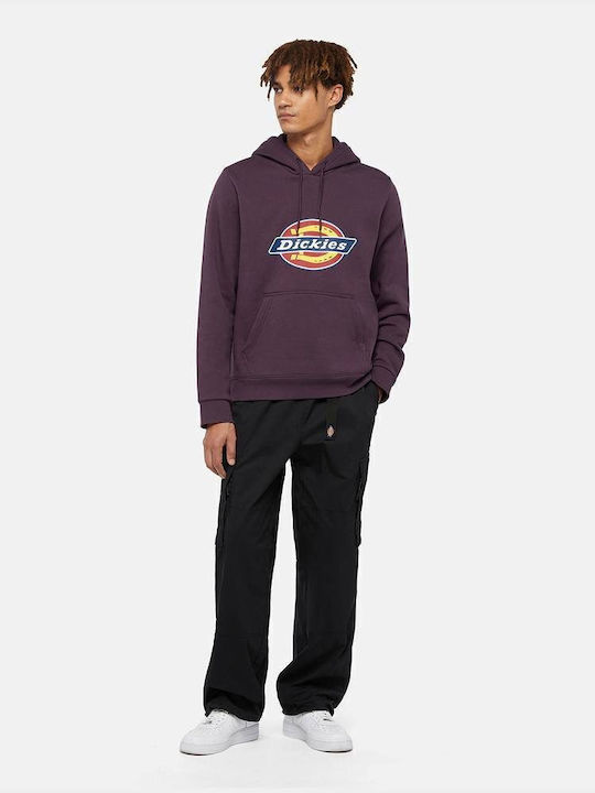 Sweatshirt with Hood Plum