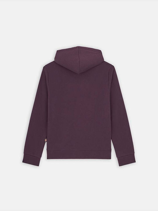 Sweatshirt with Hood Plum