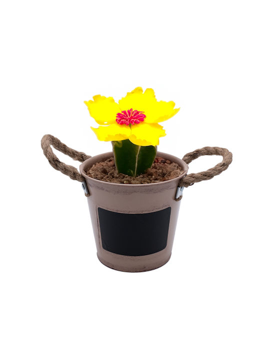 Uncle George Colors Planter Metal Pink 17x17x14.5cm.