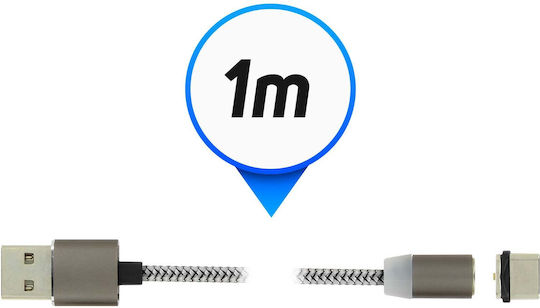 Avizar Braided / Magnetic USB 2.0 Cable USB-C male - USB-A Ασημί 1m