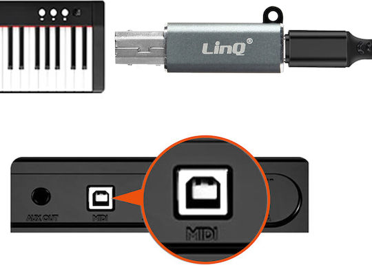 LinQ USB-B Männlich Zu USB-C Weiblich Konverter Weiß 1 Stück TPC9104