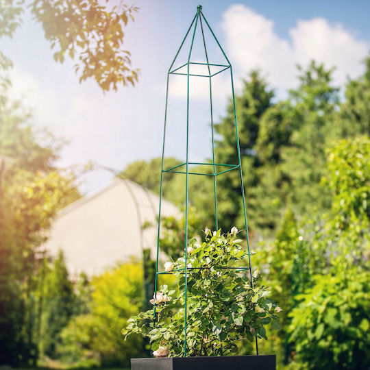 Kadax Garden Pergola Pyramid Climbing Roses 150 Cm