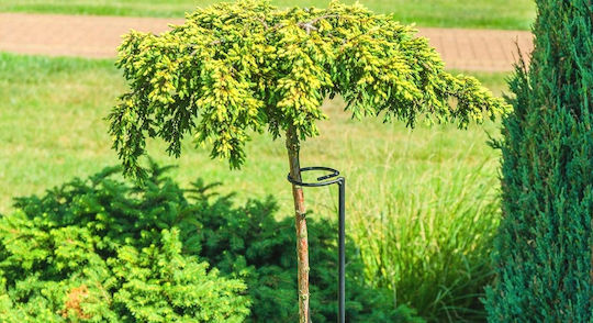 Kadax Flower Support Steel Roses 140cm