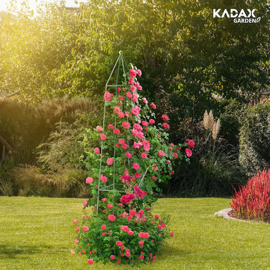 Kadax Garden Pergola Pyramid Climbing Roses 150 Cm