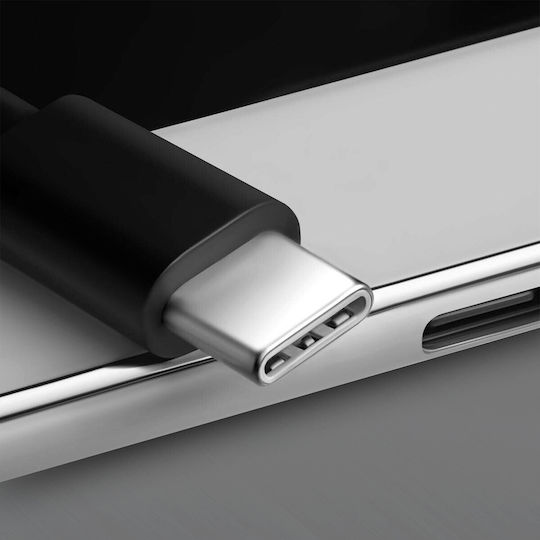 Avizar Regulär USB zu Typ-C Kabel 2A Schwarz 3m (DATA-PS5-2USBC)