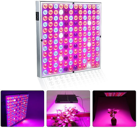 Lampă LED 15W Flippy pentru creșterea plantelor de interior, material ABS, agățătoare 25 x 25 cm, multicolor