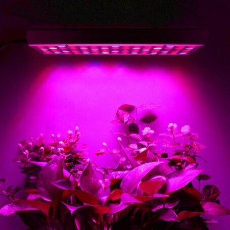 Lampă LED 15W Flippy pentru creșterea plantelor de interior, material ABS, agățătoare 25 x 25 cm, multicolor