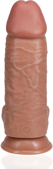 Shots Ρεαλιστικό Dildo με Όρχεις και Βεντούζα Καφέ 23cm