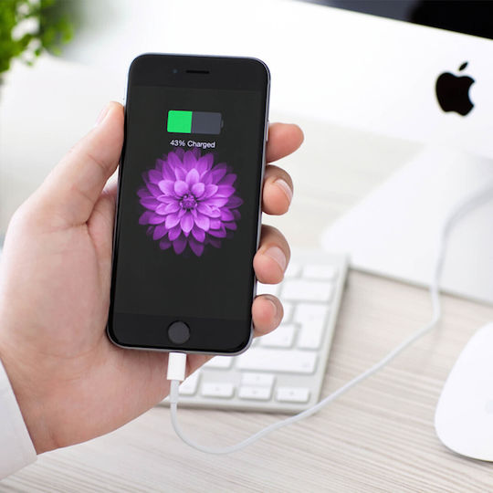 Avizar USB-A to Lightning Cable Λευκό 1m (DATA-IP5)