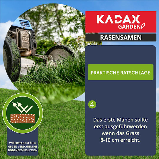 Kadax Decorative Grass Self-compacting Lawn 10 Kg