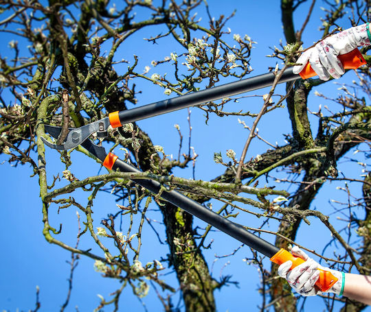 Kadax Gartenschere Äste Hecken 74cm Handgehalten Lang