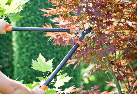 Kadax Gartenschere Äste Hecken 74cm Handgehalten Lang