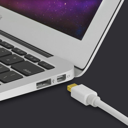 Avizar Cable mini DisplayPort male - mini DisplayPort male 1.8m White ()