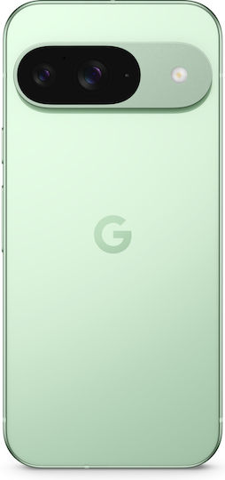 Google Pixel 9 5G (12GB/256GB) Wintergreen