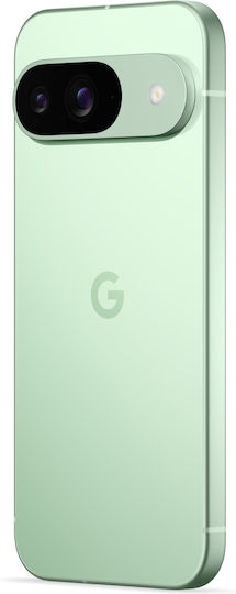 Google Pixel 9 5G (12GB/256GB) Wintergreen