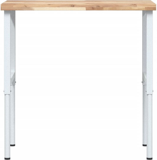 vidaXL Πάγκος Εργασίας 100x60x73cm 3309713