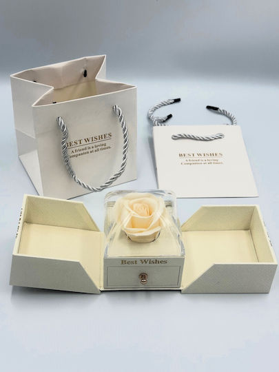 Box with Rose in Jewelry Case Valentine's Day Souvenir for Lovers White