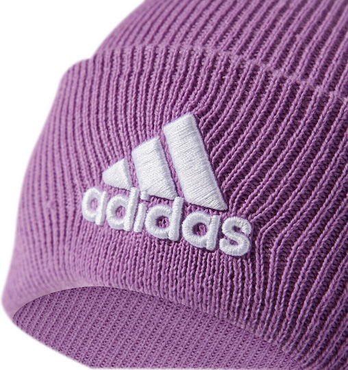 Beanie Beanie Knitted in Purple color